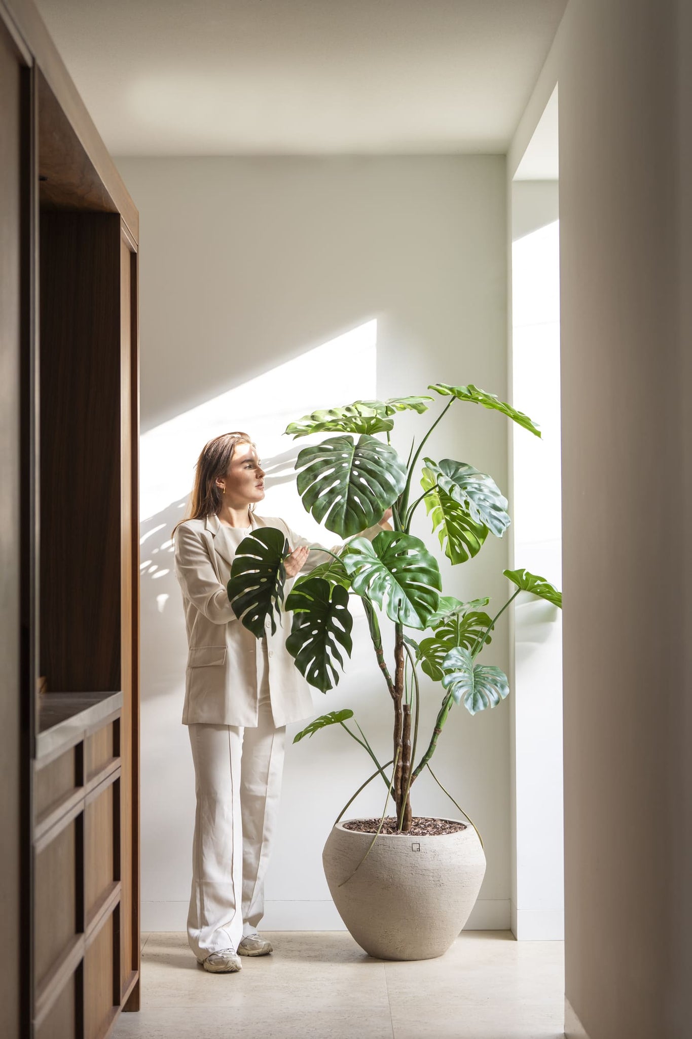 Monstera boom 180cm