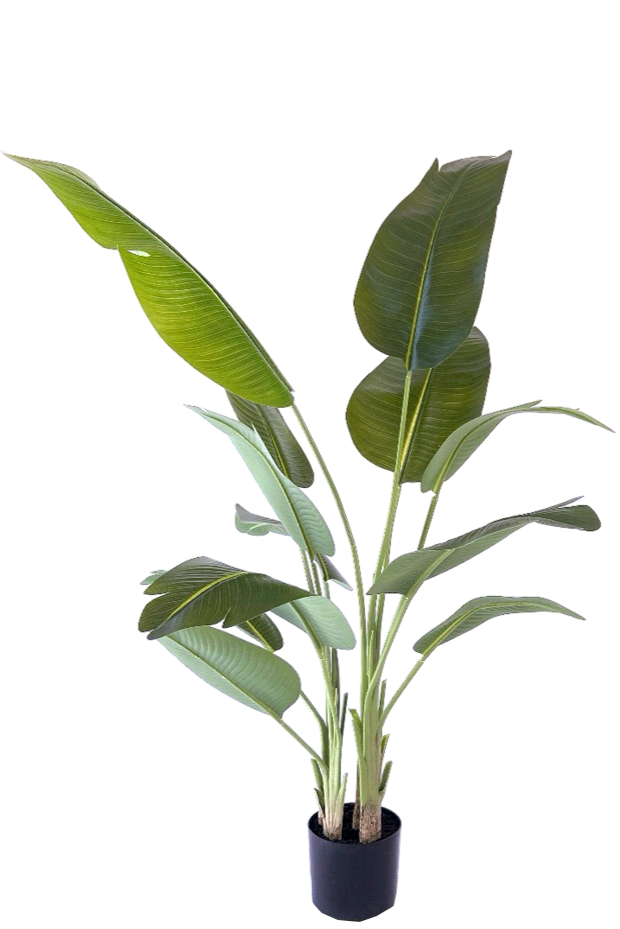 Kunstplant Strelitzia 200 cm real touch