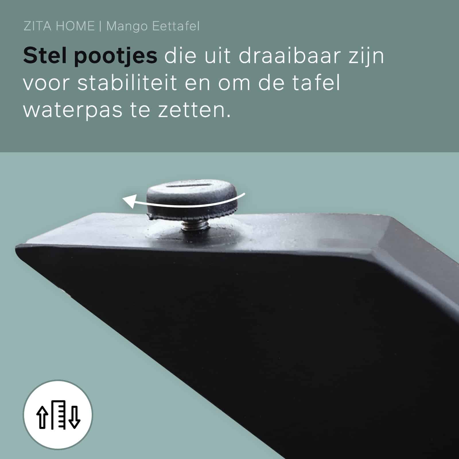 Ovale Eettafel - 260cm - Naturel - Mangohout