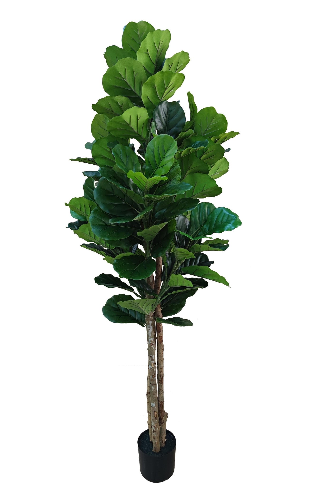Fiddle Leaf Fig kunstplant 185 cm - Stijlvolle vioolbladplant