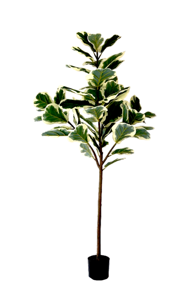 Kunstplant Ficus Lyrata Deluxe 160cm