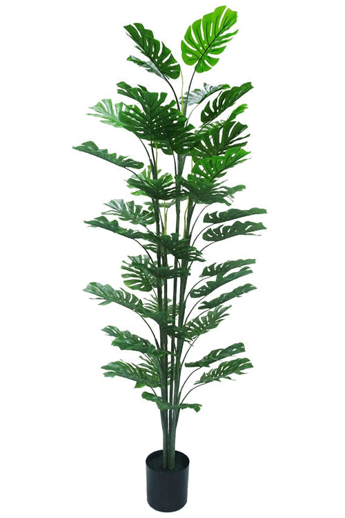 Monstera kunstplant 180 cm – Tropisch Zuid-Amerika