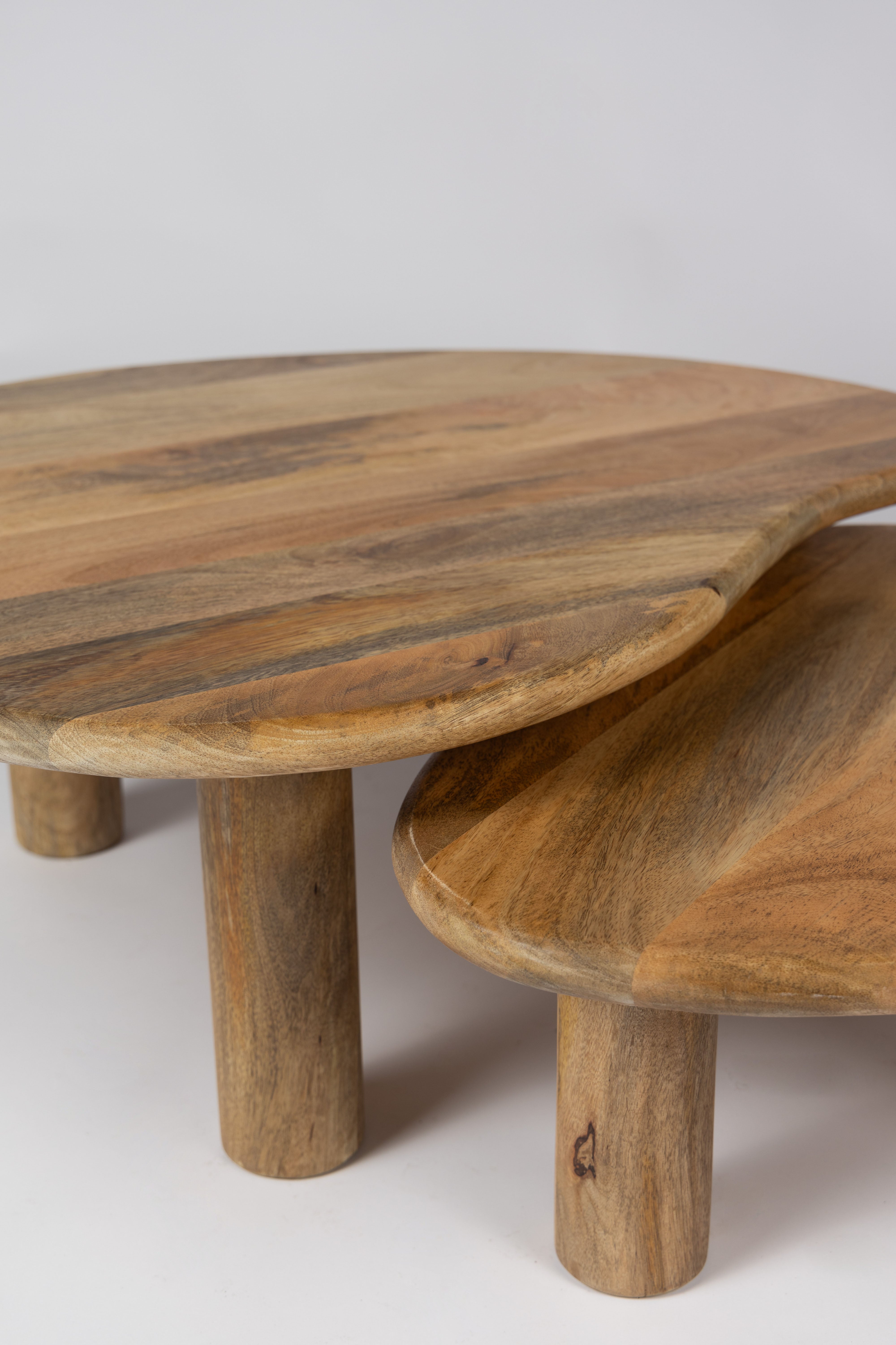 Organische salontafel set van 2 mango 80/70 cm